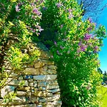 Apartament Karczyn *
