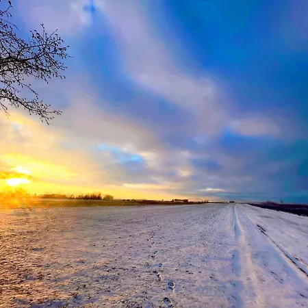 Daire W Willi - Dla Milosnikow Natury I Spokoju