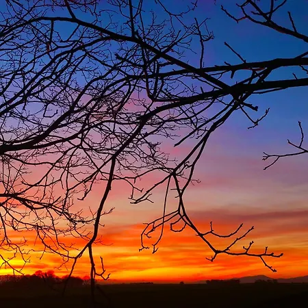 W Willi - Dla Milosnikow Natury I Spokoju