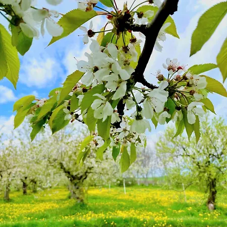 W Willi - Dla Milosnikow Natury I Spokoju Daire Karczyn