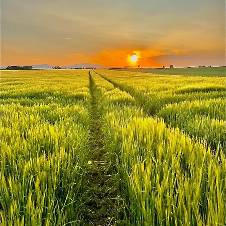 Apartment W Willi - Dla Milosnikow Natury I Spokoju