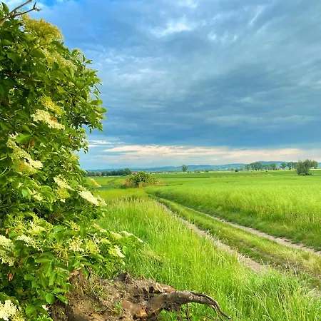 W Willi - Dla Milosnikow Natury I Spokoju *