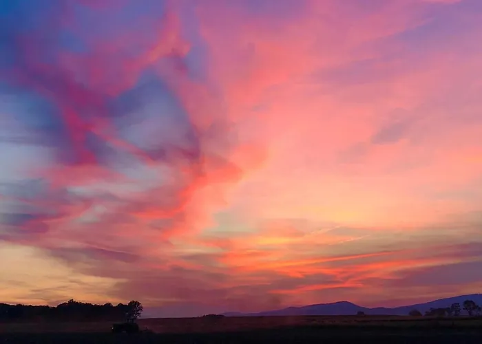 W Willi - Dla Milosnikow Natury I Spokoju アパート *