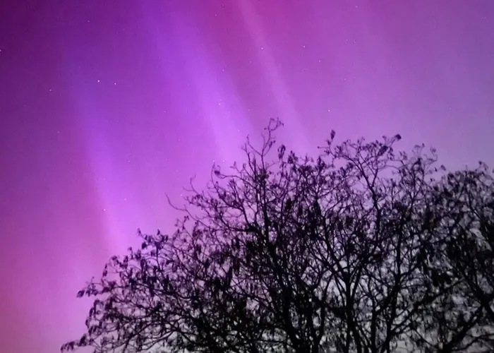 W Willi - Dla Milosnikow Natury I Spokoju アパート *