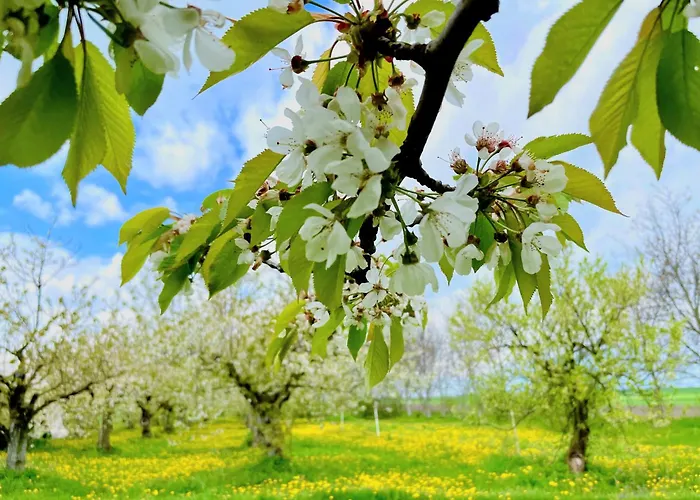 Apartament Karczyn Apartmán Karczyn