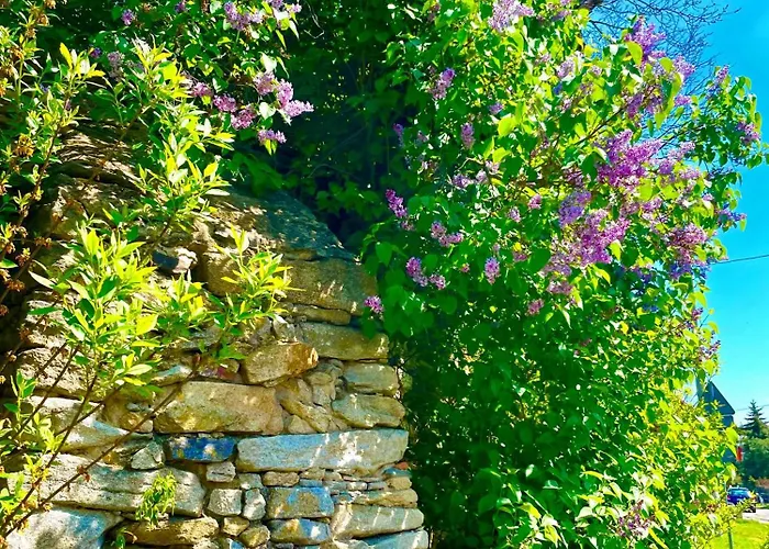 Apartament Karczyn *