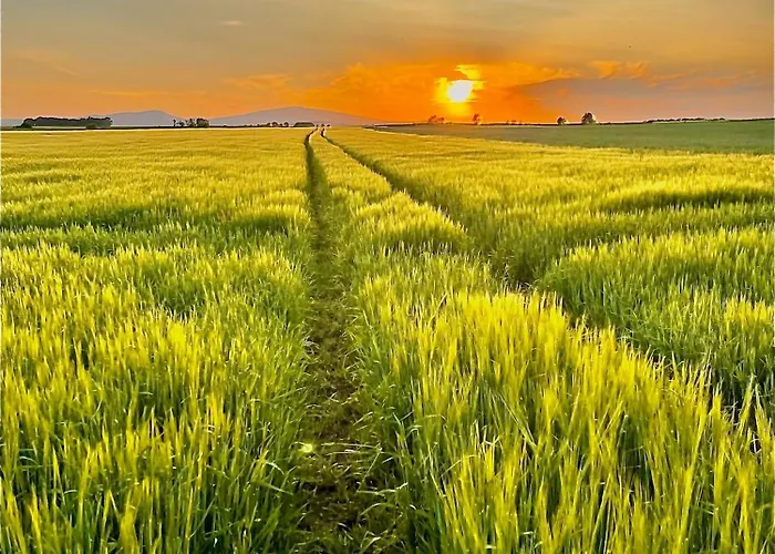 아파트 W Willi - Dla Milosnikow Natury I Spokoju