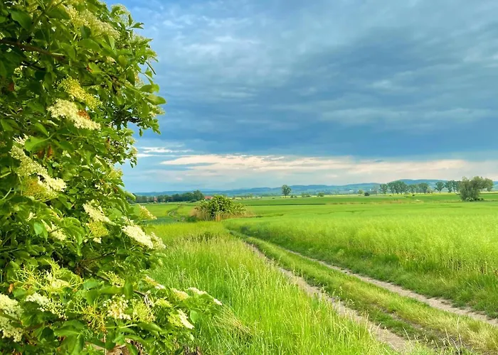 Apartament w willi Karczyn - noclegi dla miłośników natury i spokoju *