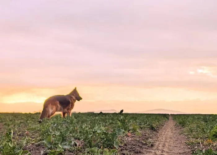 W Willi - Dla Milosnikow Natury I Spokoju 아파트